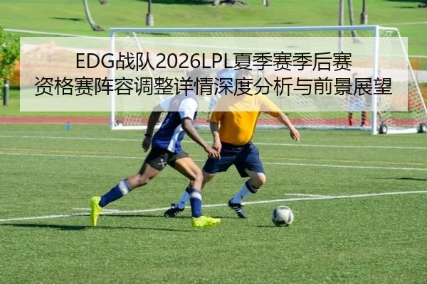 EDG战队2026LPL夏季赛季后赛资格赛阵容调整详情深度分析与前景展望
