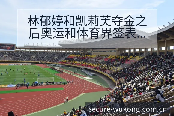 林郁婷和凯莉芙夺金之后奥运和体育界签表分析与未来走势 - 悟空体育官网